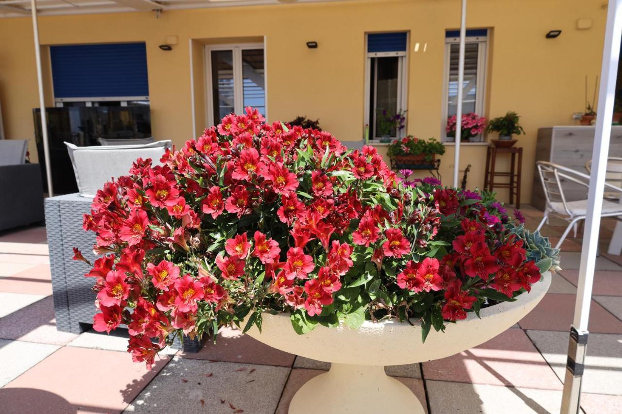 Albergo Stella Di Mare Лаваня Екстериор снимка